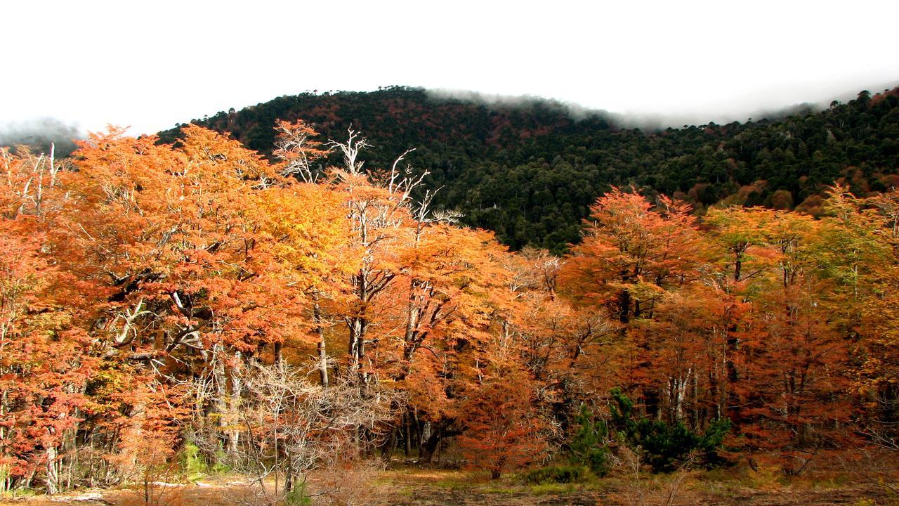 Refugio Las Raices มาลากาอวยโย ภายนอก รูปภาพ