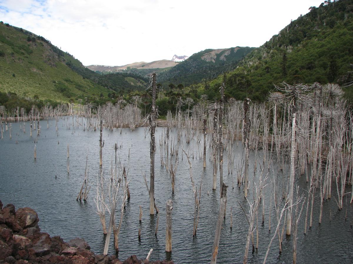 Refugio Las Raices มาลากาอวยโย ภายนอก รูปภาพ